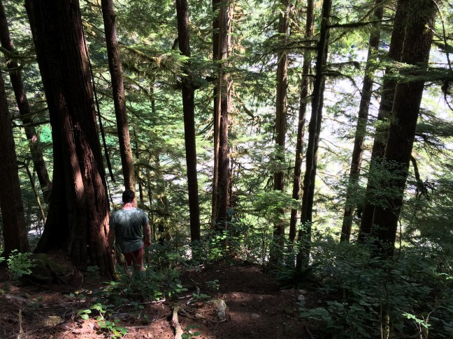 2016-08-12 13.44.30 HDR.jpg