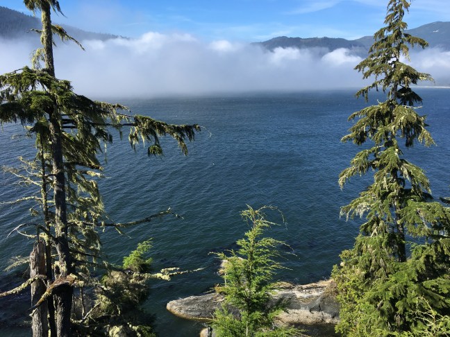 2016-08-13 16.04.40.jpg