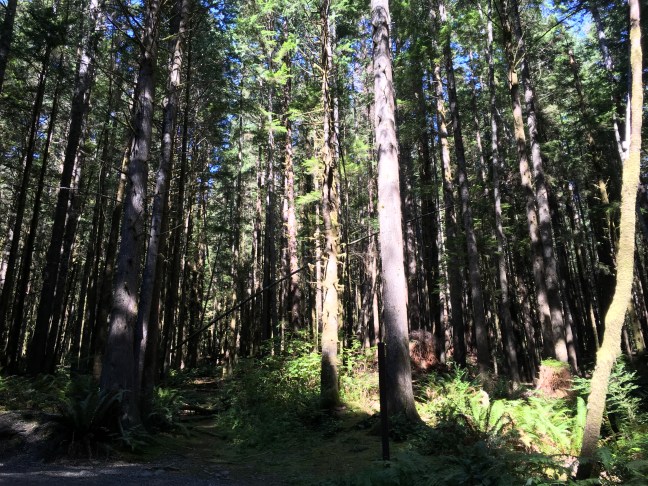 2016-09-14 13.22.31 HDR