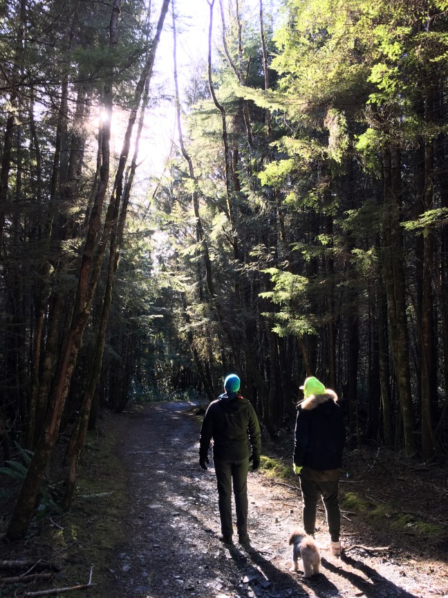 2017-02-01 13.28.24 HDR